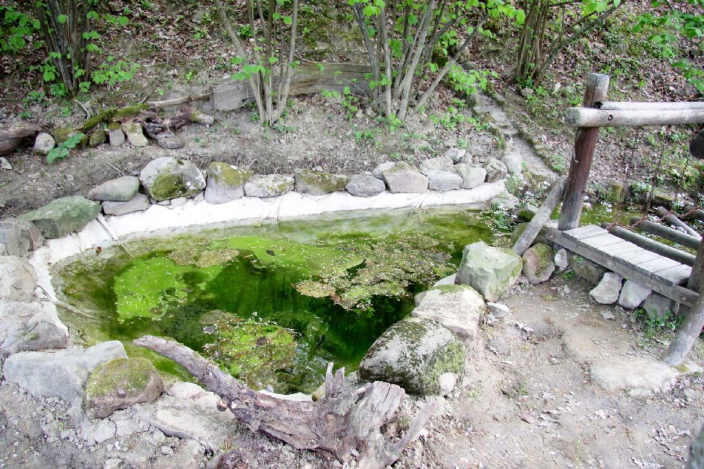 Lo stagno didattico di Valbonella - Bagno di Romagna (FC)